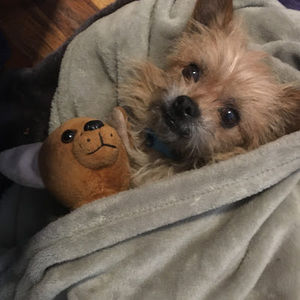 Meet your Posher, Youz